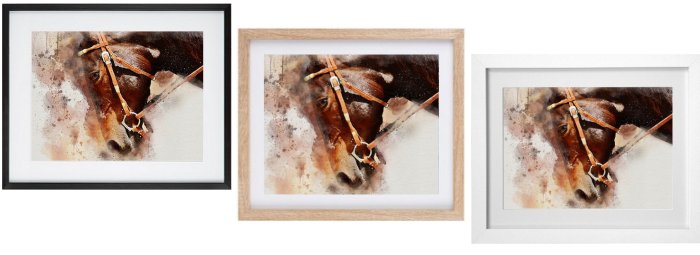 Select Your Frame